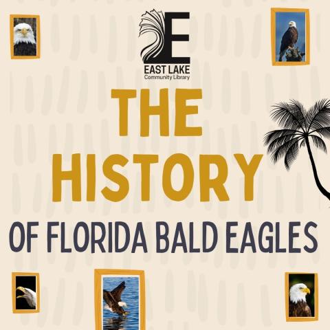 history bald eagles