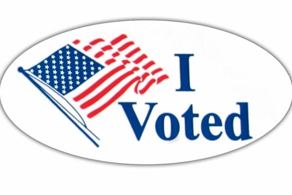 I Voted Logo