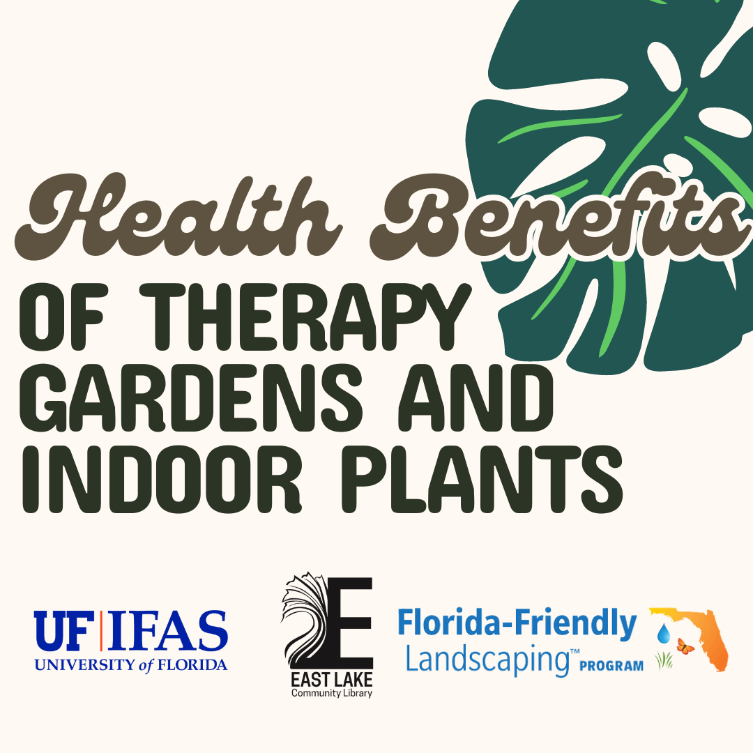 Health Benefits of Therapy Gardens and Indoor Plants