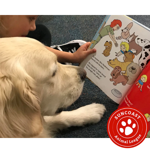 child reading to a dog 