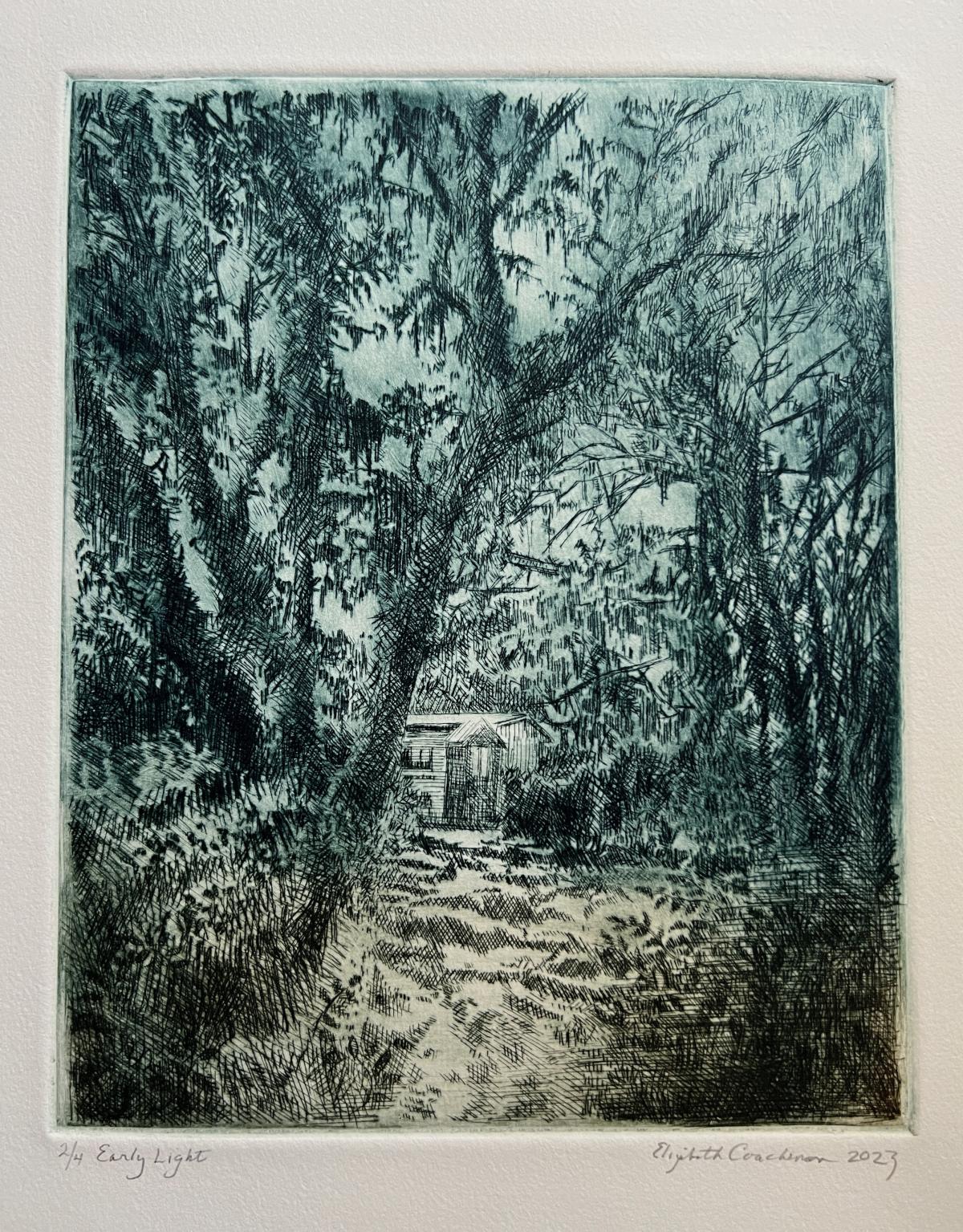 early light by elizabeth coachman