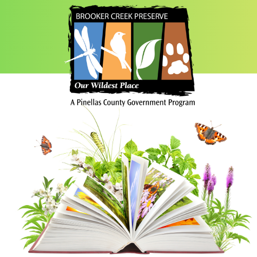 book with plants and butterflies